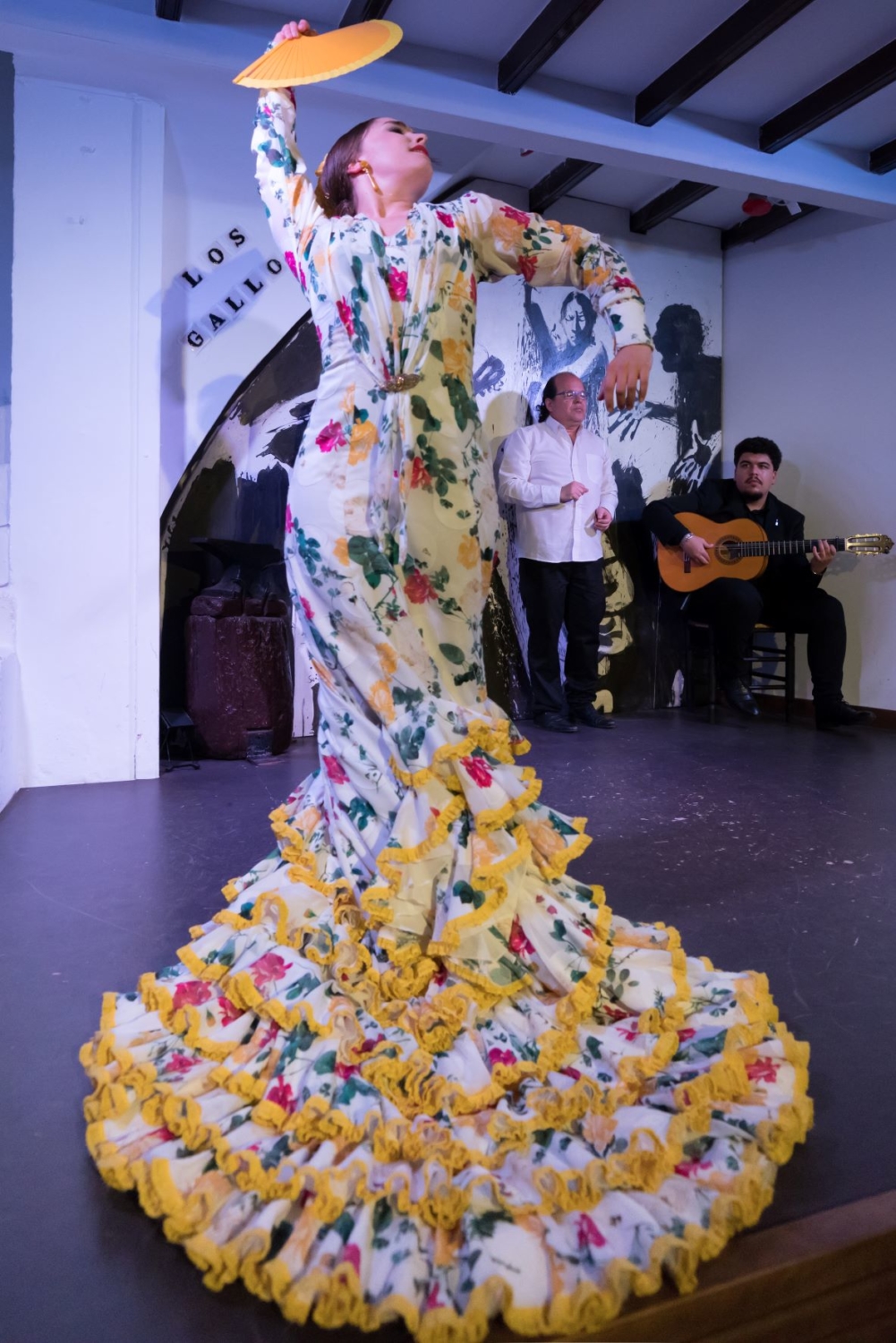 Shows Tablao Flamenco Sevilla Los Gallos