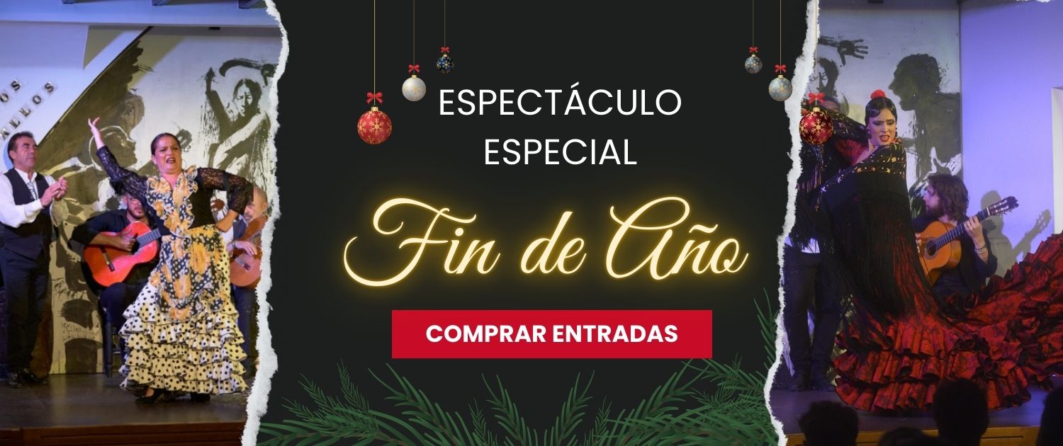 Special Offer 2 - Inicio Flamenco Sevilla